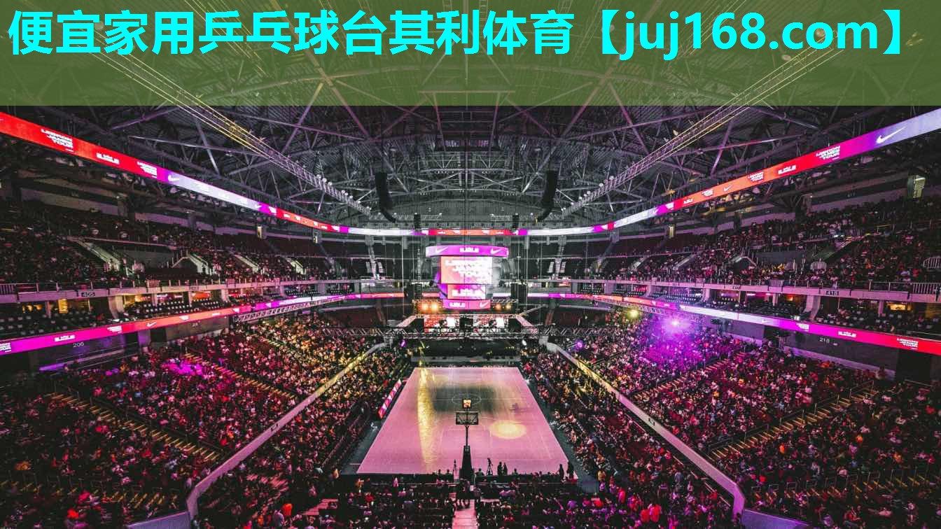 便宜家用乒乓球台其利体育